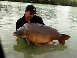 Big Carp 72+