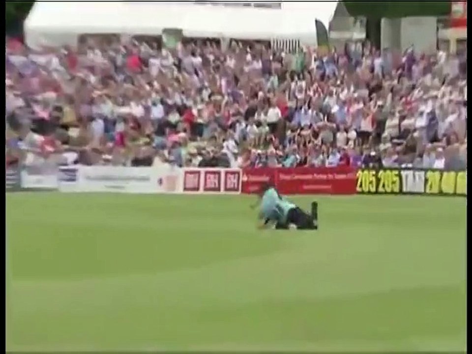 11426396_880653698676329_368994521_n