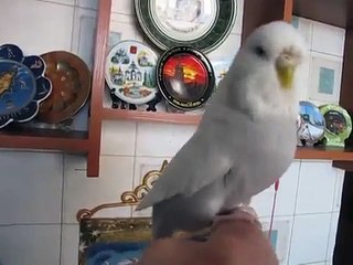 Добря 14 мая 2014