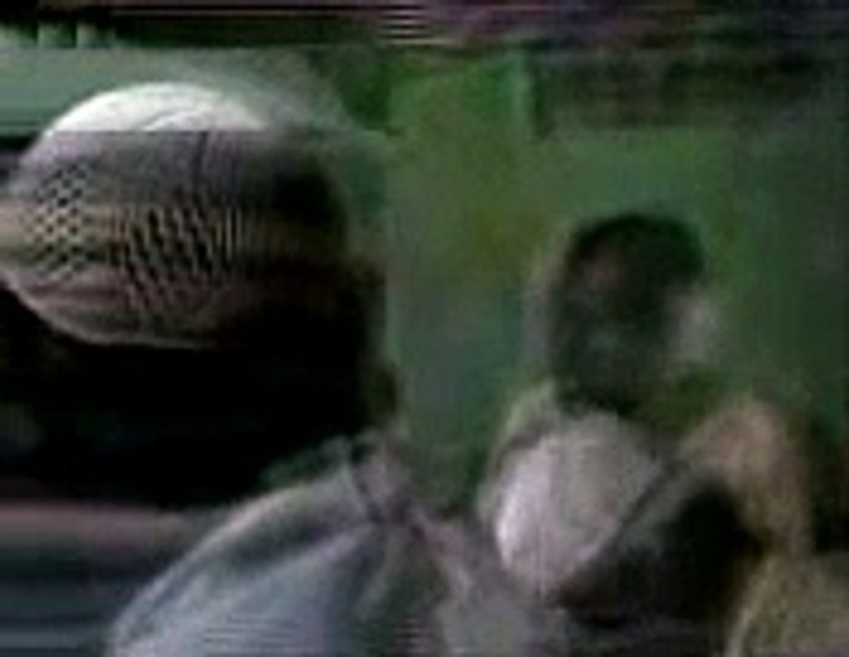 Dzikir Qodiriyah Wannaqsabandiyah acara Khaul Syekh Abdul Qodir Al-jaelani - Selapajang jaya Tangera