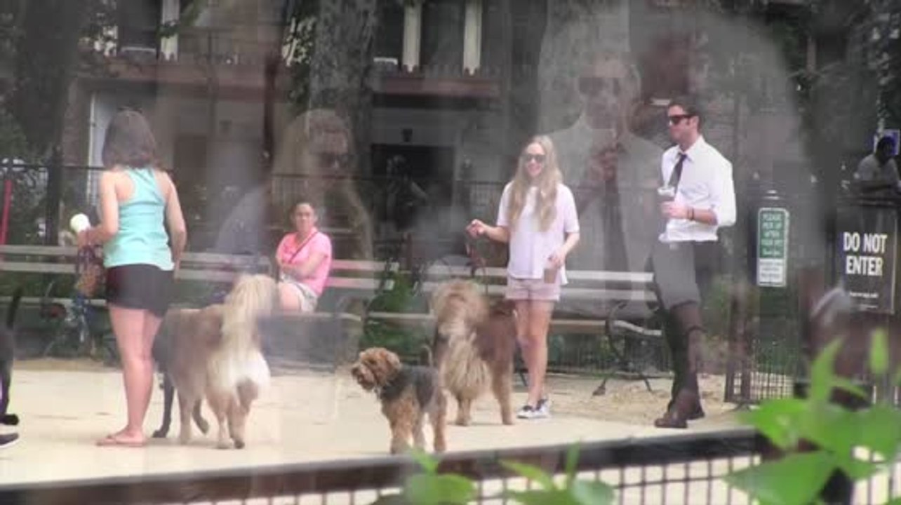 Amanda Seyfried Ditches Red Carpet Attire For Relaxed Dog Walk