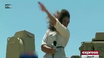 Hony Bee Fights With An Anchor Lady Very Funny