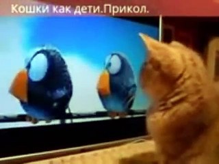 Télécharger la video: Новые лучшие приколы самые смешное видео  ПРИКОЛЫ и неудачи 2015 май FAIL Compilation Humor Jokes 2