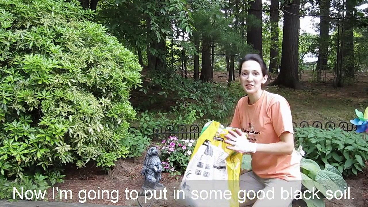 Everyday Vocabulary  Gardening