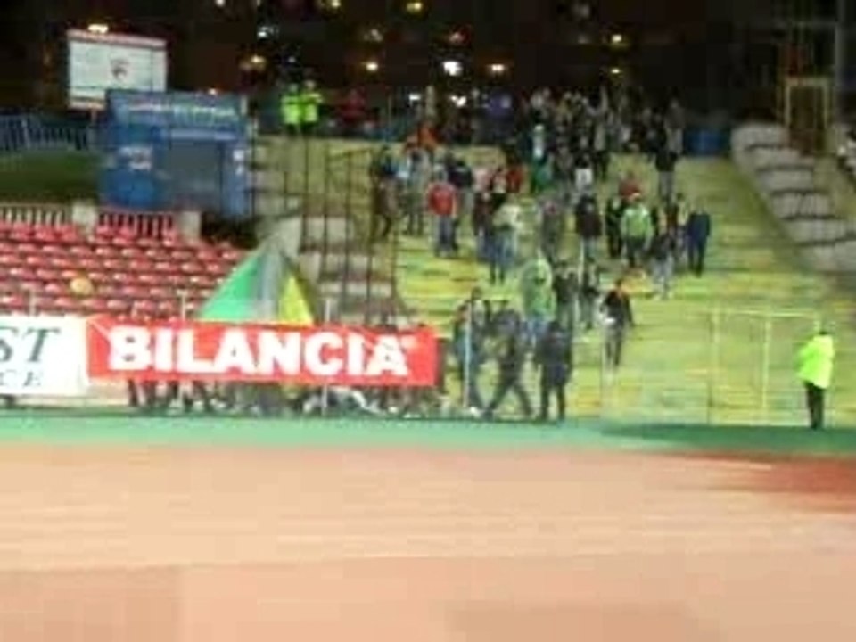 Vasluieni
