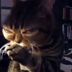 Mathilda, pussy alien with big eyes!