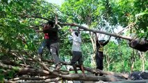 Transplanting the Mango Trees: Liger Donates to Who Will Village