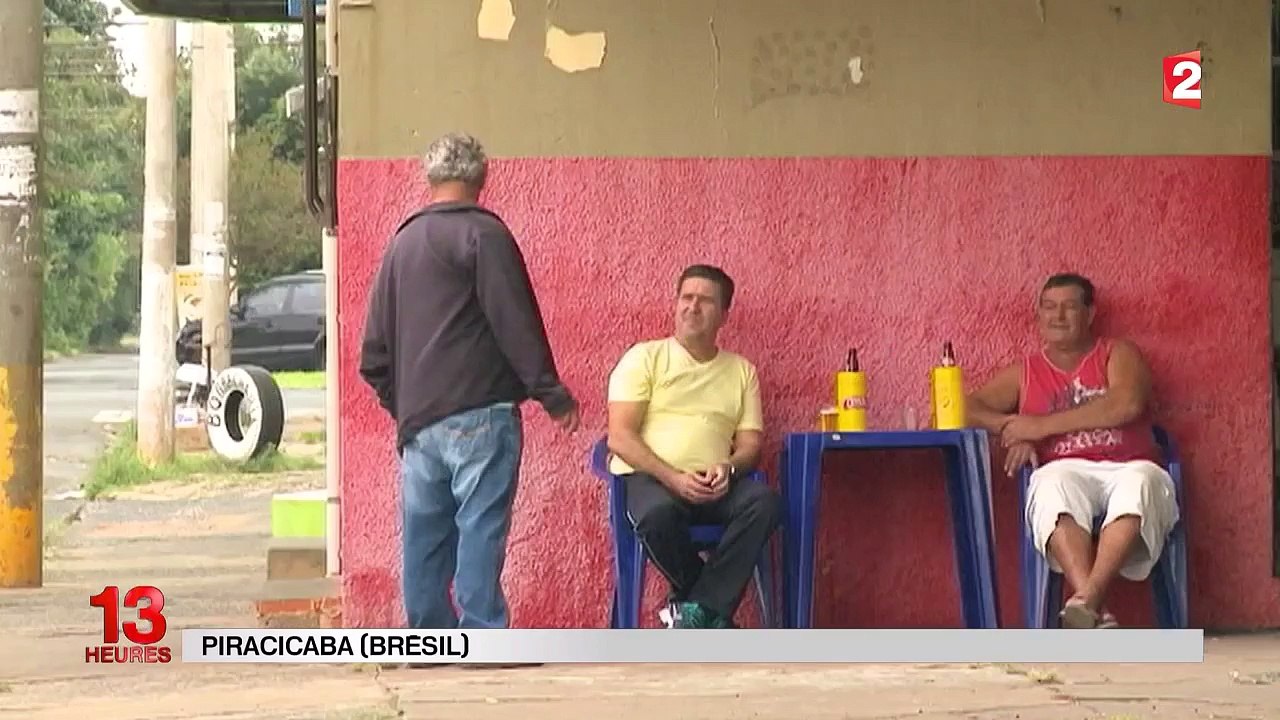 Un moustique transgénique libéré pour éradiquer le moustique tigre