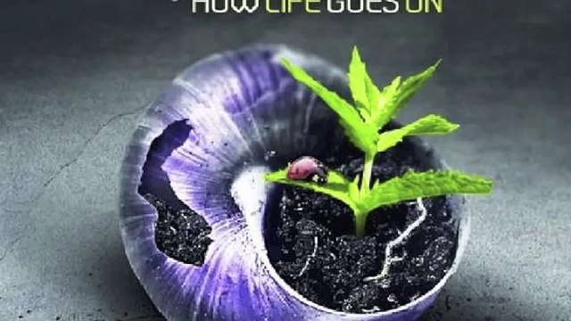 Phaxe - Fly Away (Querox Remix)