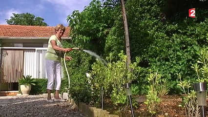 L'inquiétante prolifération du moustique tigre