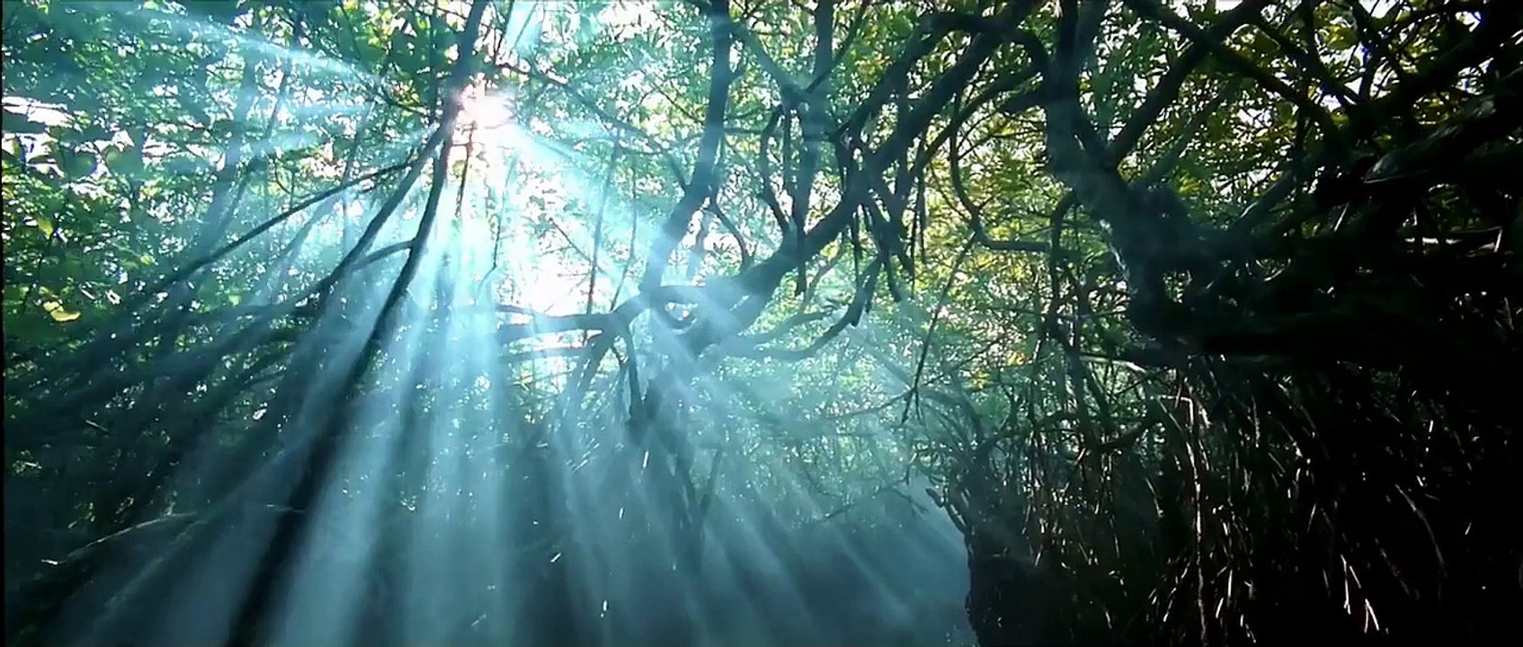 SRI LANKA -TRAVEL DOCUMENTARY