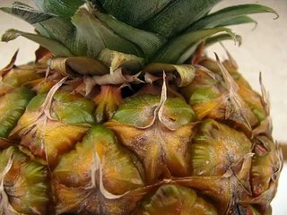 Faire pousser facilement un ananas à la maison