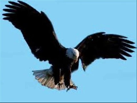 Chanson L' AIGLE NOIR