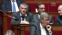 Ruralités : S. Pinel répond à une QAG