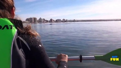 Most Amazing Travelling Experience At Agreninia Coast With a Big Whale