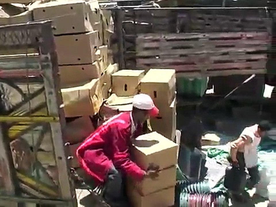 Yemen : assistance durgence aux personnes déplacées par la guerre