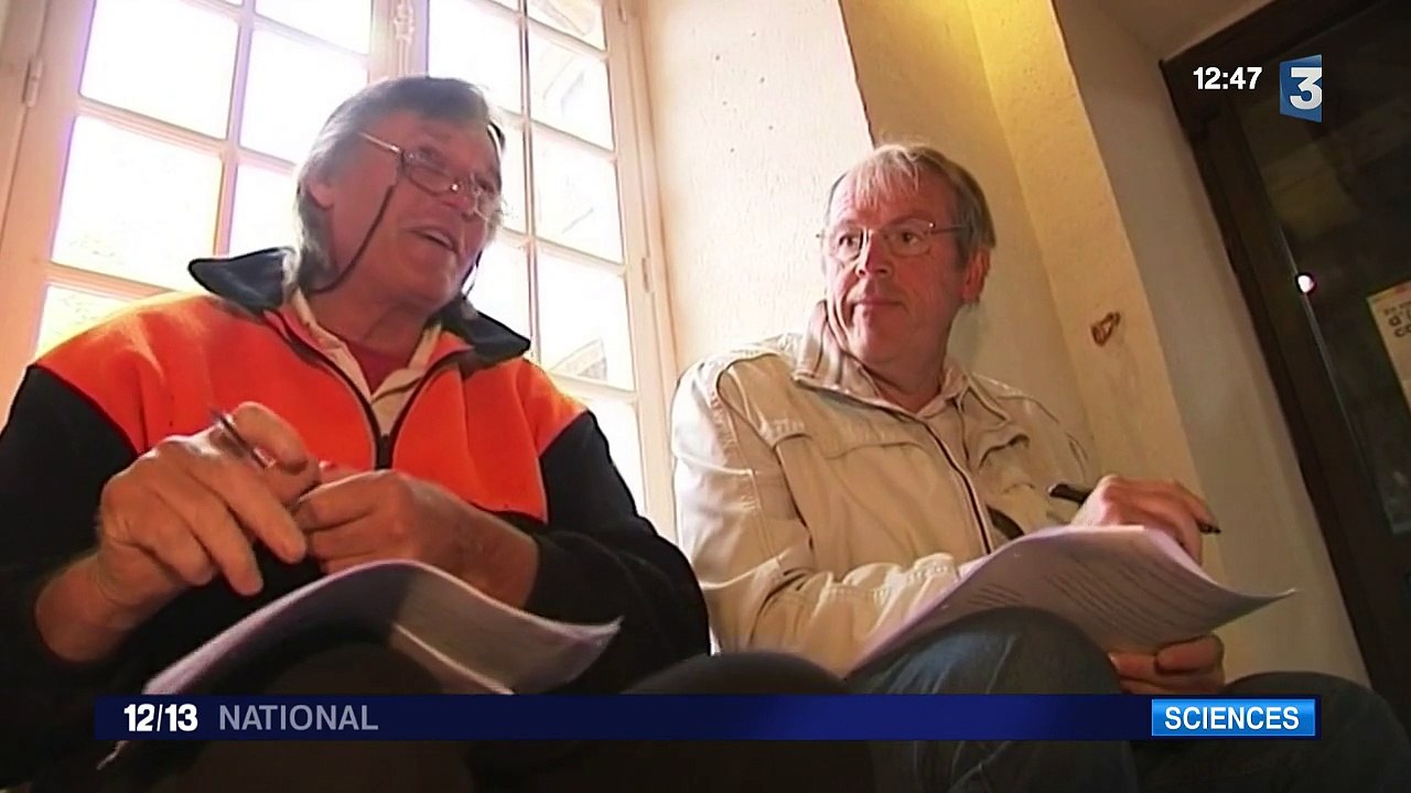 Les Normands ont-ils des origines vikings ?