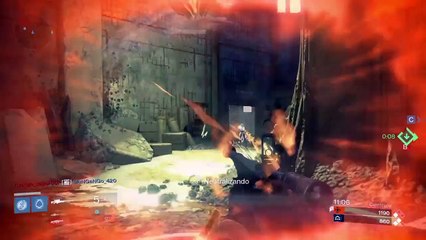 Rifle de precisão - nenhuma terra Além - Destiny