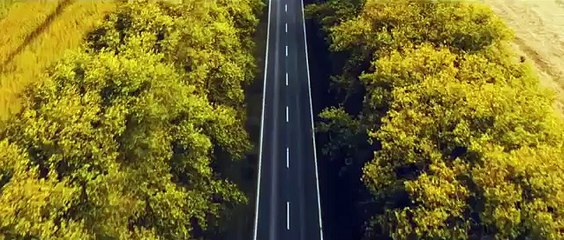 Des écrans installés sur des camions pour limiter les accidents routiers