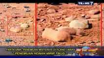 On The Spot TERBARU - Penemuan Misterius Di Planet Mars