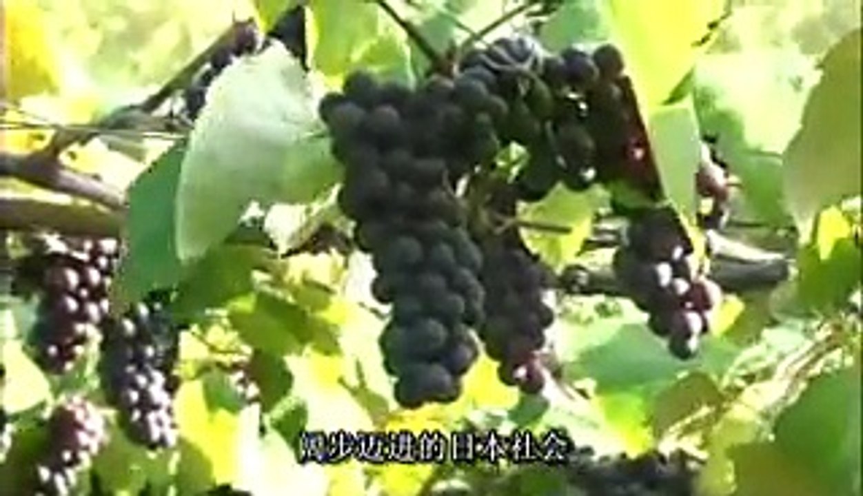 認罪～中国撫順戦犯管理所の６年～ 11/11