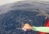 Daring Kayaker Tries to Hand-Feed Shark