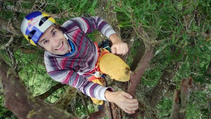 Giant Ascent: Chris Sharma Free Climbs Huge Redwood w/ Help of Scientists