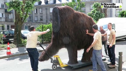VIDEO. Tours : les mammouths quittent le muséum