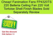 Fanimation Fans FP4320TS 220 Belleria Ceiling Fan 220 Volt Tortoise Shell Finish Blades Sold Separately Review