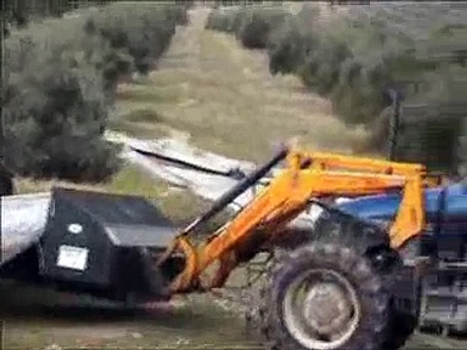 Recolección aceituna de molino con los Mántor de Tecniagri