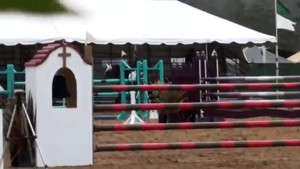 Sasha: Winning Junior AO Jumper Warmblood Mare For Sale in California at Derby Hill