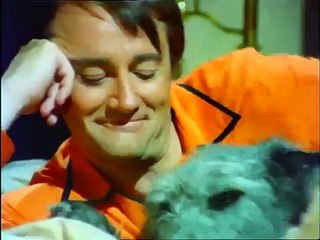 Opening theme from The Protectors