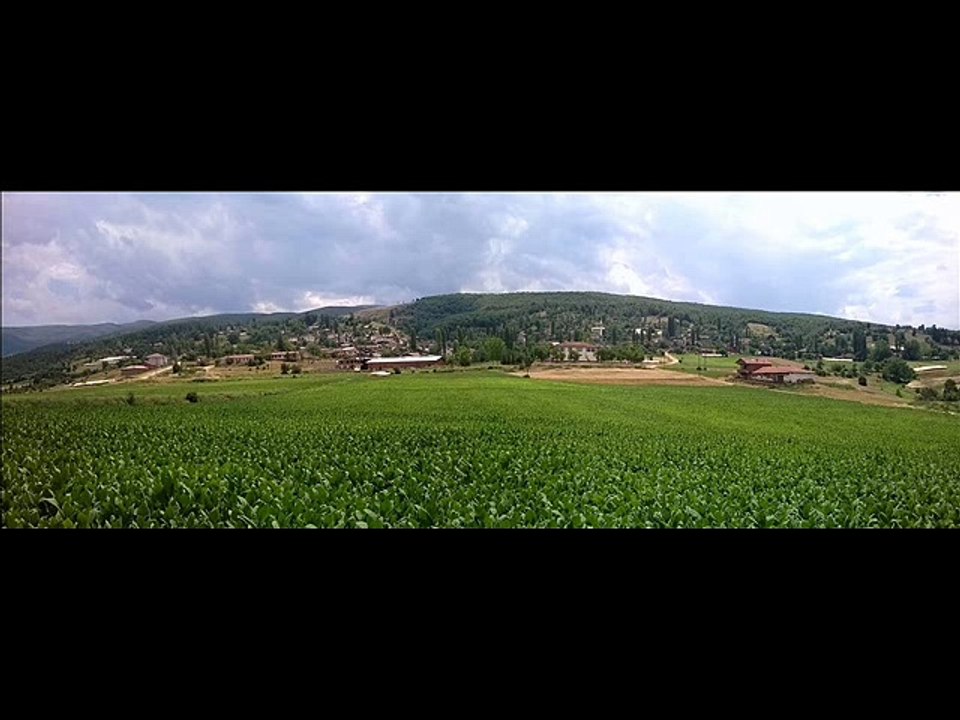 memleket endikpınar