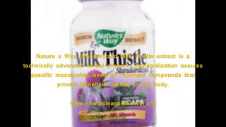 Nature's Way Milk Thistle Reviews - Does Nature's Way Milk Thistle Work