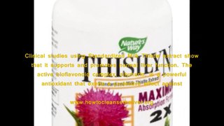 Thisilyn Milk Thistle Reviews - Does Thisilyn Milk Thistle Work