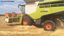 Trebbiatura Frumento 2014 Claas Lexion 760 + Claas C540