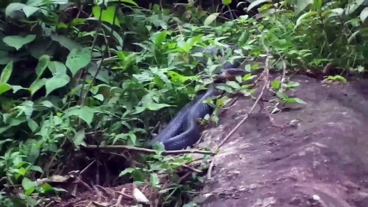 Man vs Wild in Tamilnadu