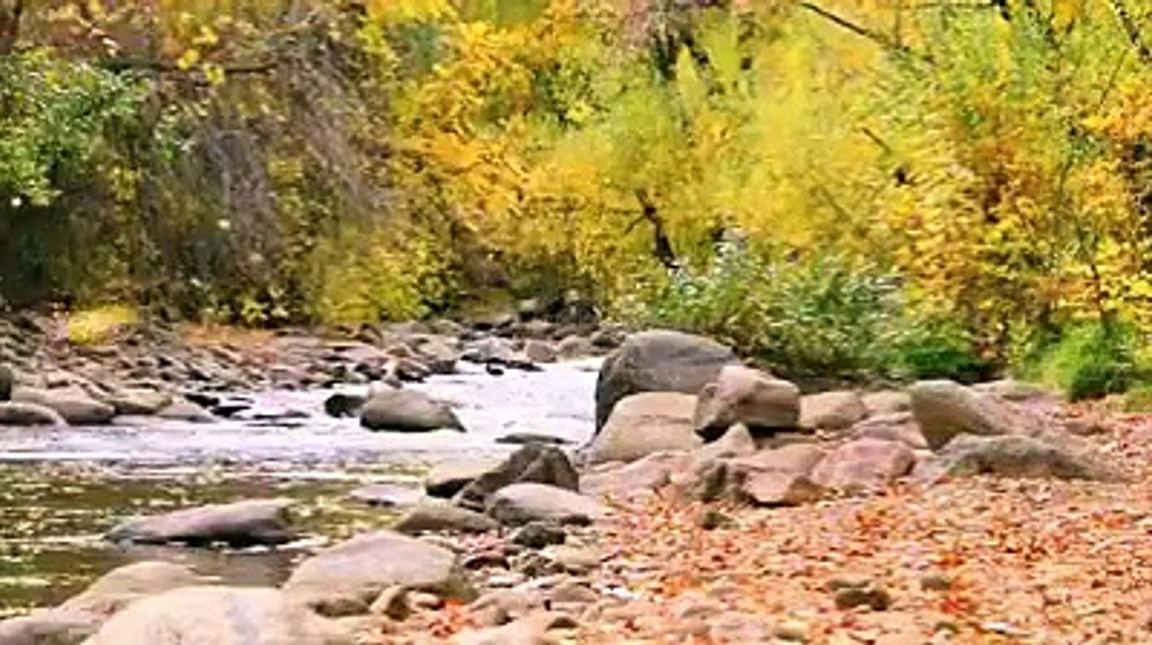 Stones in water standing with a little Support