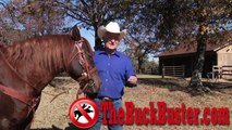 Horse Training - Stop Your Horse From Bucking In Minutes