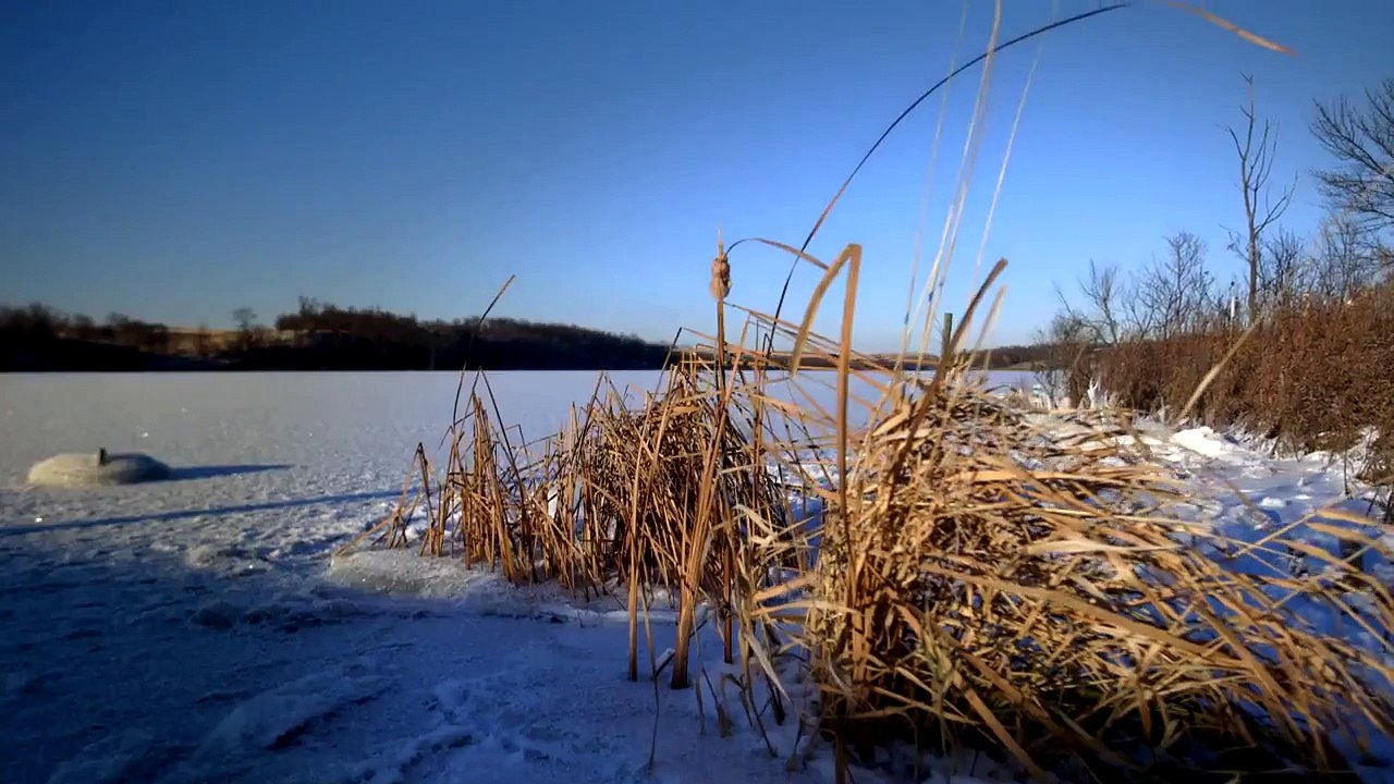 Restoring Mining Fields to Nature | Caterpillar
