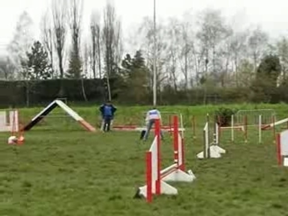 Montage-Jumping-indy