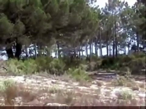 COEMAR - FUZILEIROS .