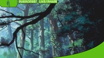 Mushishi Anime Review - AnimeEveryday Anime Reviews