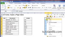 Excel 2010 Basico: 2.6 Cortar Copiar y Pegar Datos