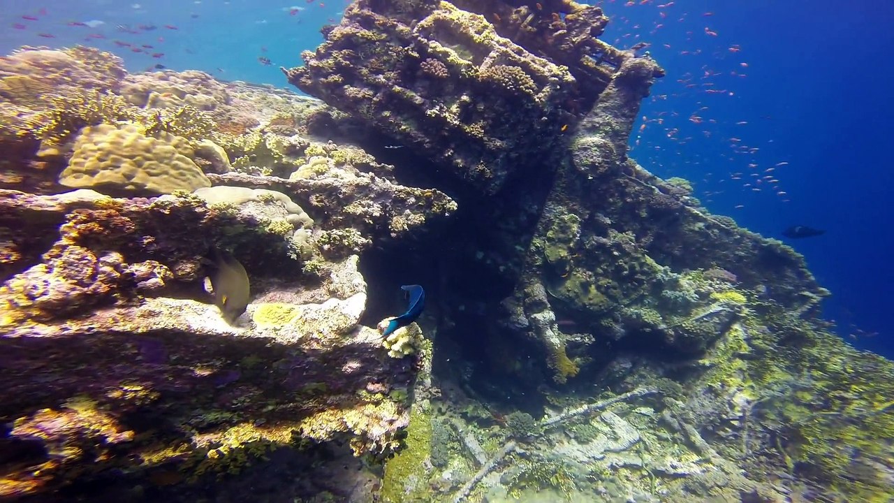 Diving the reefs at Big Brother Island and Giftun Island