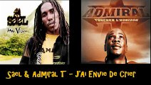 Sael & Admiral T   J'Ai Envie De Crier