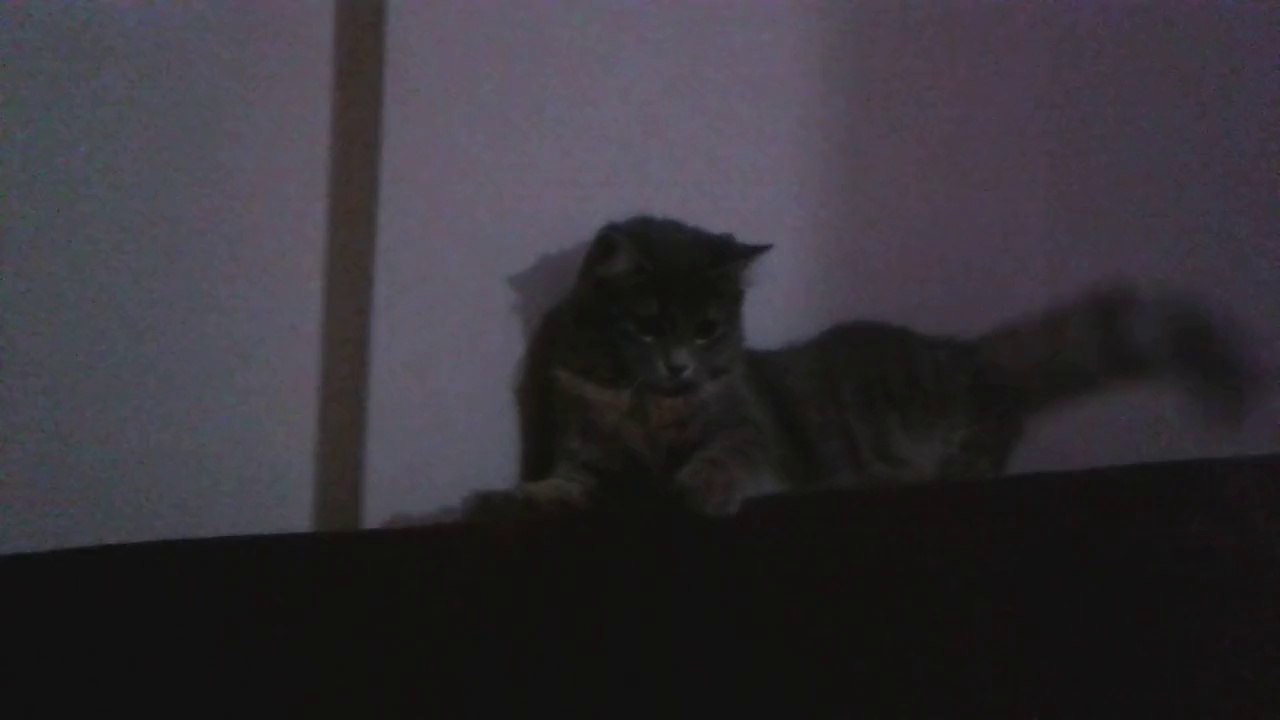 rahat kaleci :)