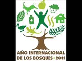 Día del Árbol & Actividades escolares - Sección de Medio Ambiente