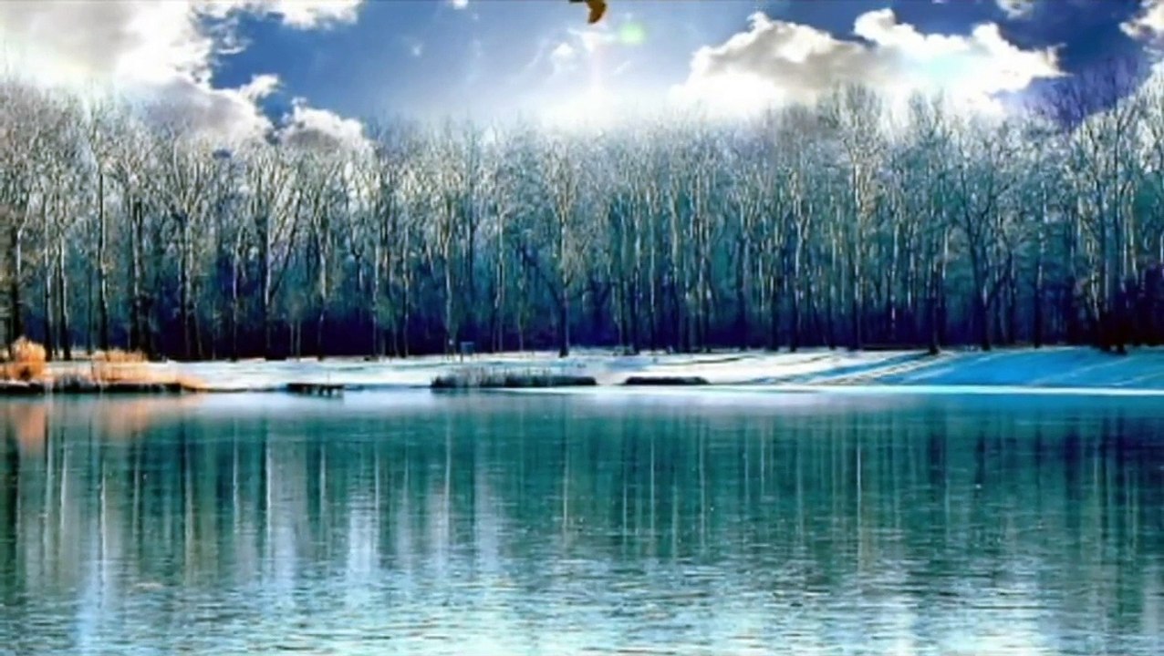 santo eres tu señor