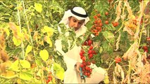 مراسلو الجزيرة.. خضار الكويت النادرة ومدابغ فاس التقليدية